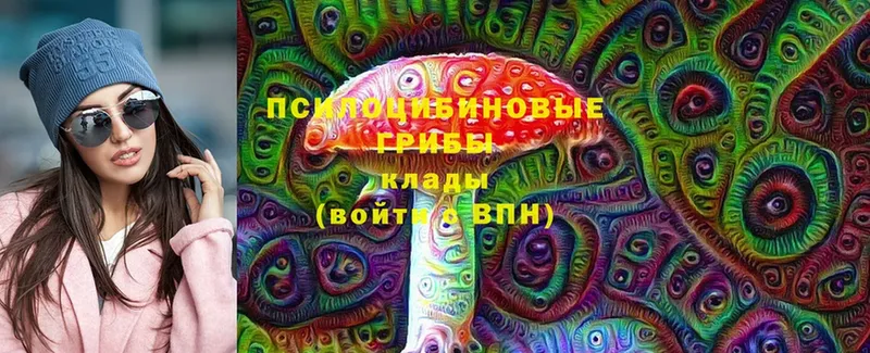 Псилоцибиновые грибы ЛСД  Новозыбков 